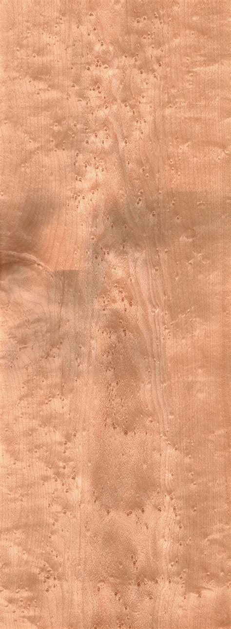where does birdseye maple grow.
